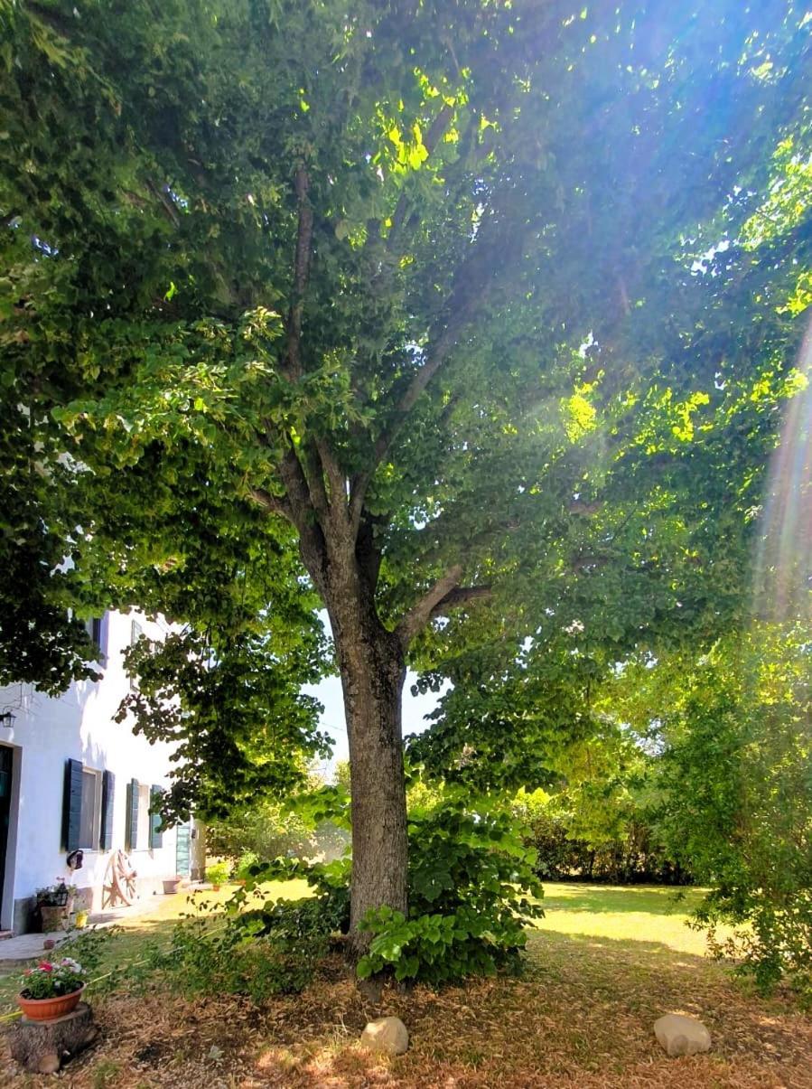 Appartamento Casa Tilia Montecalvo in Foglia Esterno foto